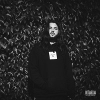 Non Succede Nulla Se... - Single - Violla