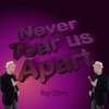 Icon Never Tear Us Apart - Single