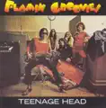 Teenage Pothead