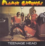 The Flamin' Groovies - Have You Seen My Baby?