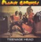 High Flyin' Baby - Flamin' Groovies lyrics