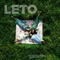 Leto - Rose Gold lyrics