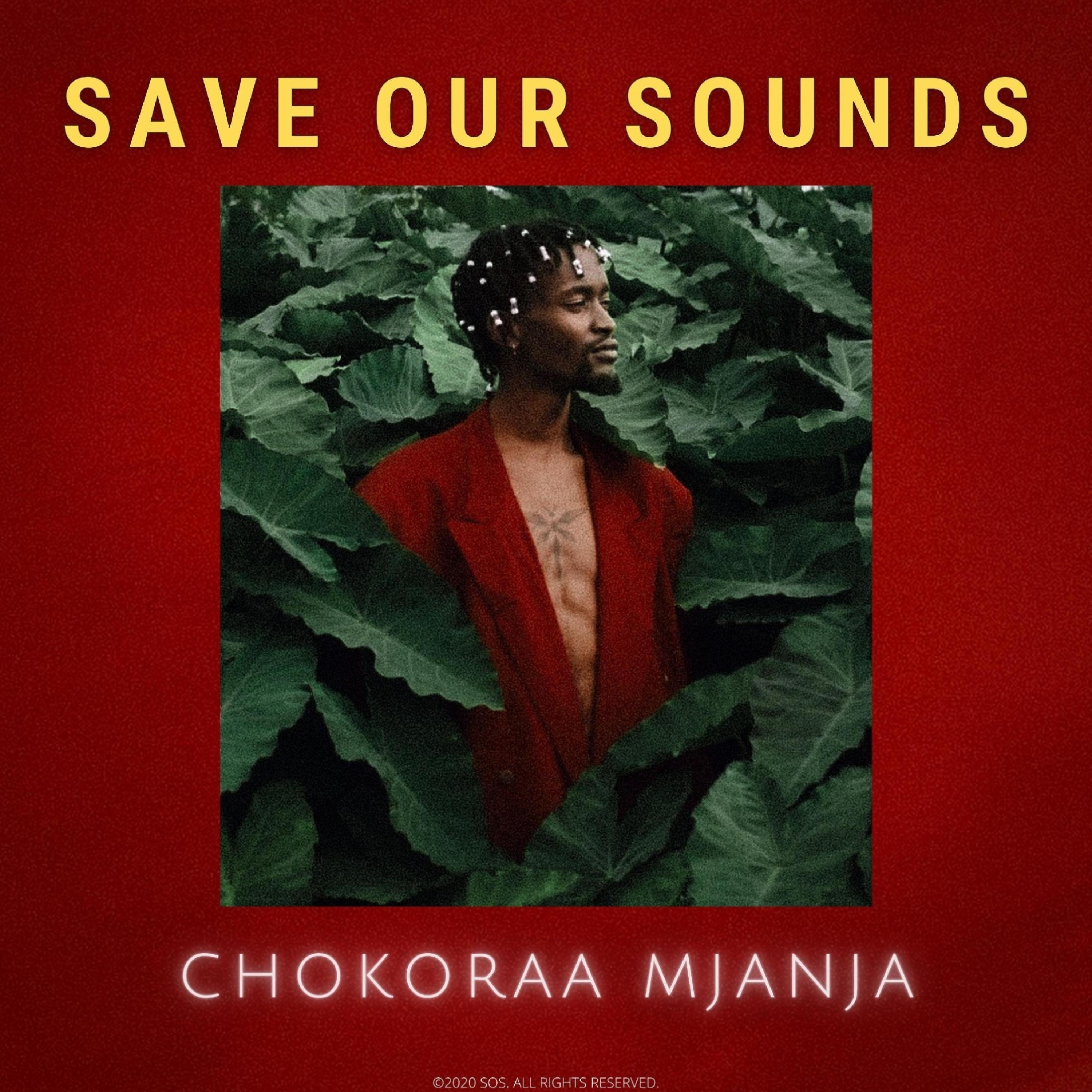 Save OUR Sounds - EP