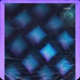 Videodisc Sacred Scrolls