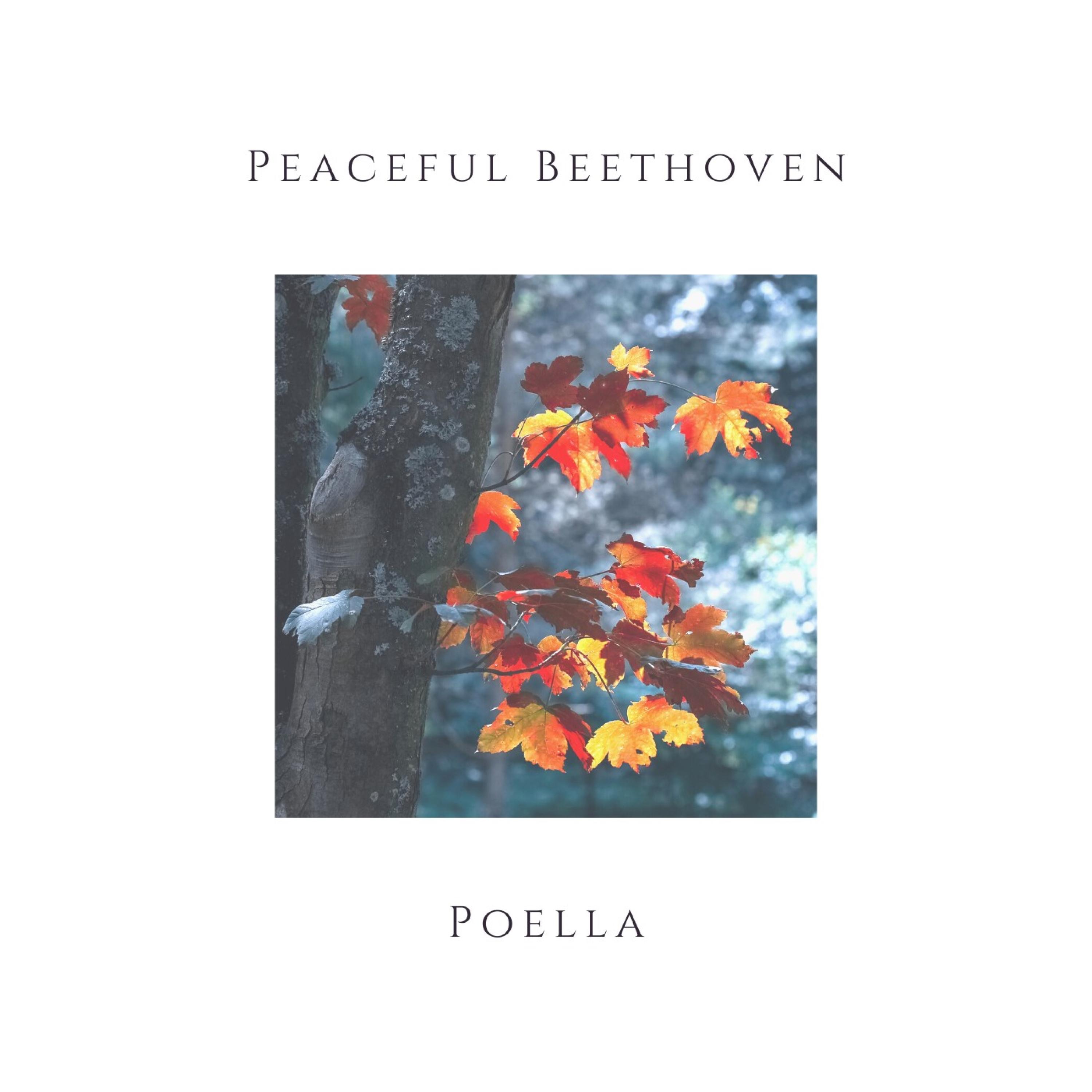 Peaceful Beethoven - EP