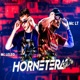 Hornetera Single
