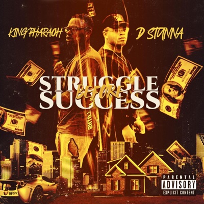 Struggle Before Success