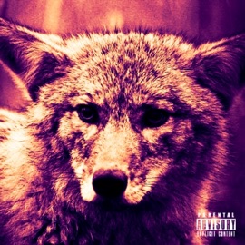 Drinking Bout You Kayote