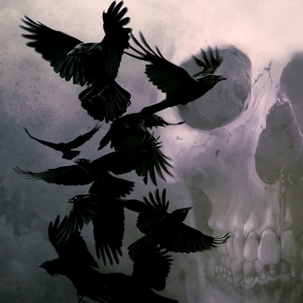 Birdy Don't Hurt Me (Remix)