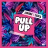 Pull Up - Single