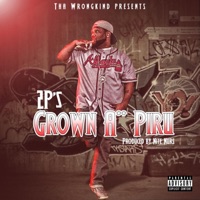 Grown Ass Piru - Single - Bigg Tupp Wit 2p's In It