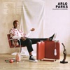 Arlo Parks - Collapsed In Sunbeams