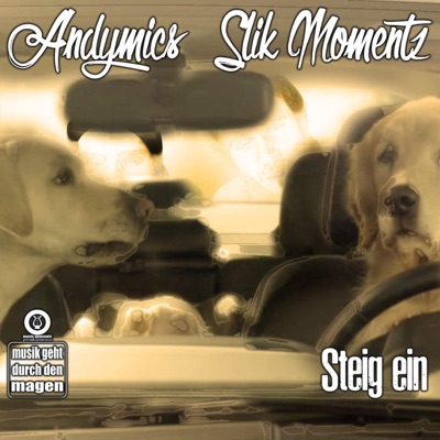 Steig ein (feat. Slik Momentz) - Single