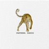 Panthera Pardus - Single