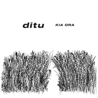 Kia Ora - ditu