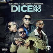 Dice Que No (feat. Rauw Alejandro) artwork