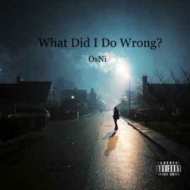 What Did I Do Wrong? OsNi