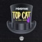 Top Cat (feat. Diesle D-Power & Brakeman) - Footsie lyrics