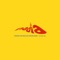 Nadia (Porches' You Have Lost Control Remix) - The Drums, Jonny Pierce & Porches lyrics