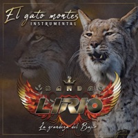 El Gato Montes (Instrumental) - Single - Banda Lirio