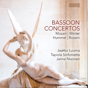 Bassoon Concerto: I. Allegro