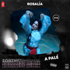 A Palé (Remix) - Zortness