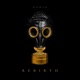 Rebirth Single