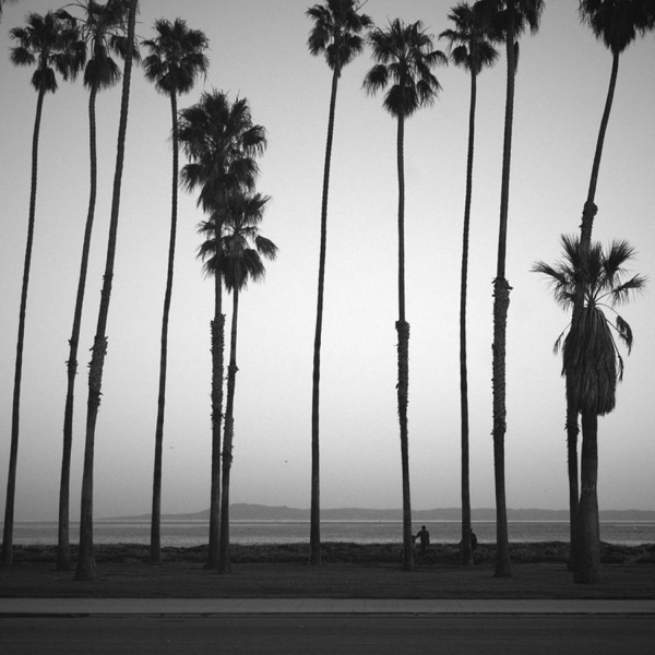 Live Free/Die Young