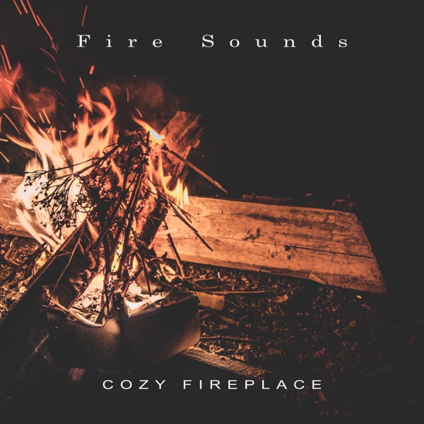 Cozy Fireplace