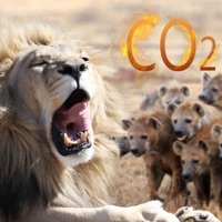 Hyenas (feat. DO. Quest) - Single - Co2chad