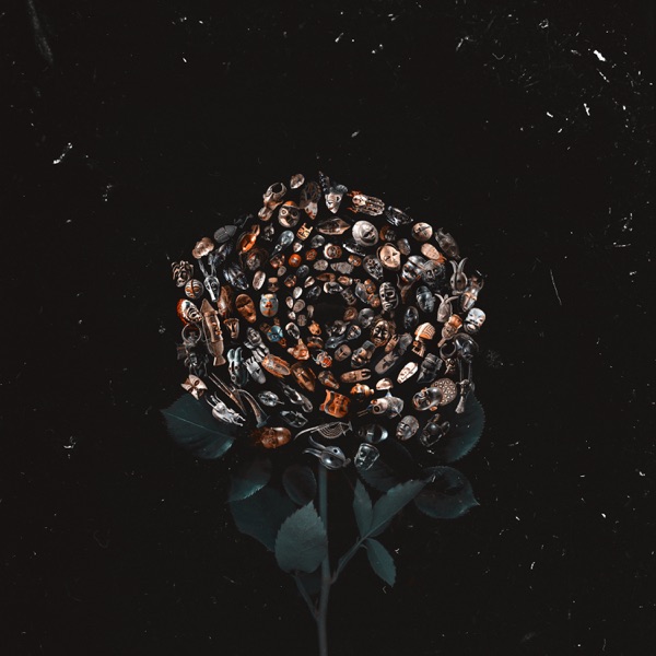 V Forme Roz - EP