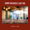 Sorry Because I Like You - EP - Varna M Liek