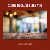 Sorry Because I Like You artwork