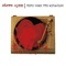 Smash Myself to Bits - Steve Wynn lyrics