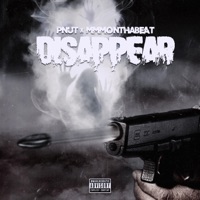 Disappear (feat. Mmmonthabeat) - Single - Pnut