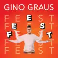 Feest