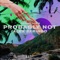 Probably Not (Diviners Remix) - Alex Skrindo & Diviners lyrics