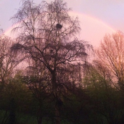 Streelt Als de Zon - Single
