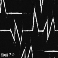 Puls - Single - Sapte