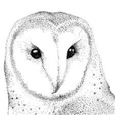 A.M. Overcast - Building Ampersand