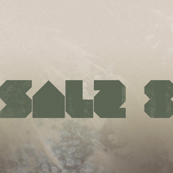 Salz 8 (feat. Don Abi) - Single