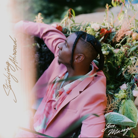 Cover artwork for Polygamy