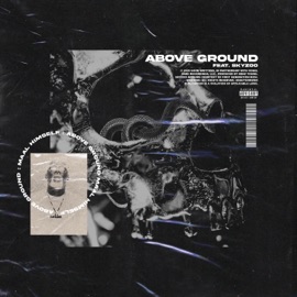 Above Ground Maaly Napoleon