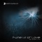 Funeral of Love (feat. Ruined Conflict) - Elektrostaub lyrics
