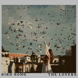 Bird Song The Lovers