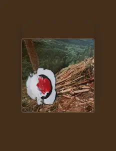 Poslechněte si interpreta Rain on Tent, sledujte hudební videa, přečtěte si životopis, podívejte se na data turné a další informace.