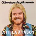 Gülmek Ya Da Gülmemek