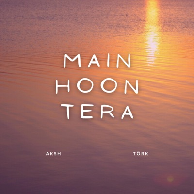 Main Hoon Tera - Single