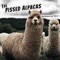 March 10, 2020: (Super) Mario Day - The Pissed Alpacas lyrics