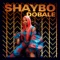 Dobale - Shaybo lyrics